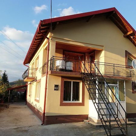 Casa Lidia Si Gogu Hotel Budeasa Mare Eksteriør billede