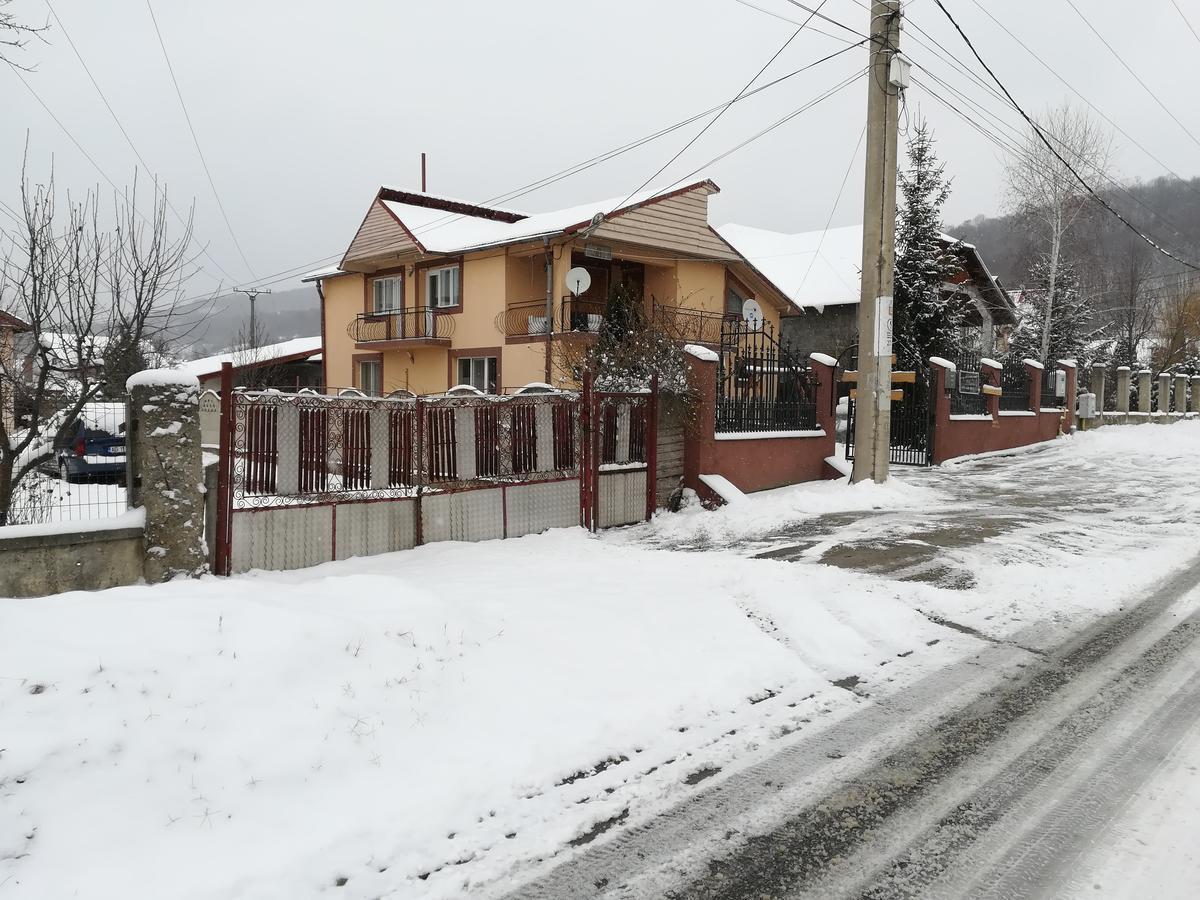 Casa Lidia Si Gogu Hotel Budeasa Mare Eksteriør billede